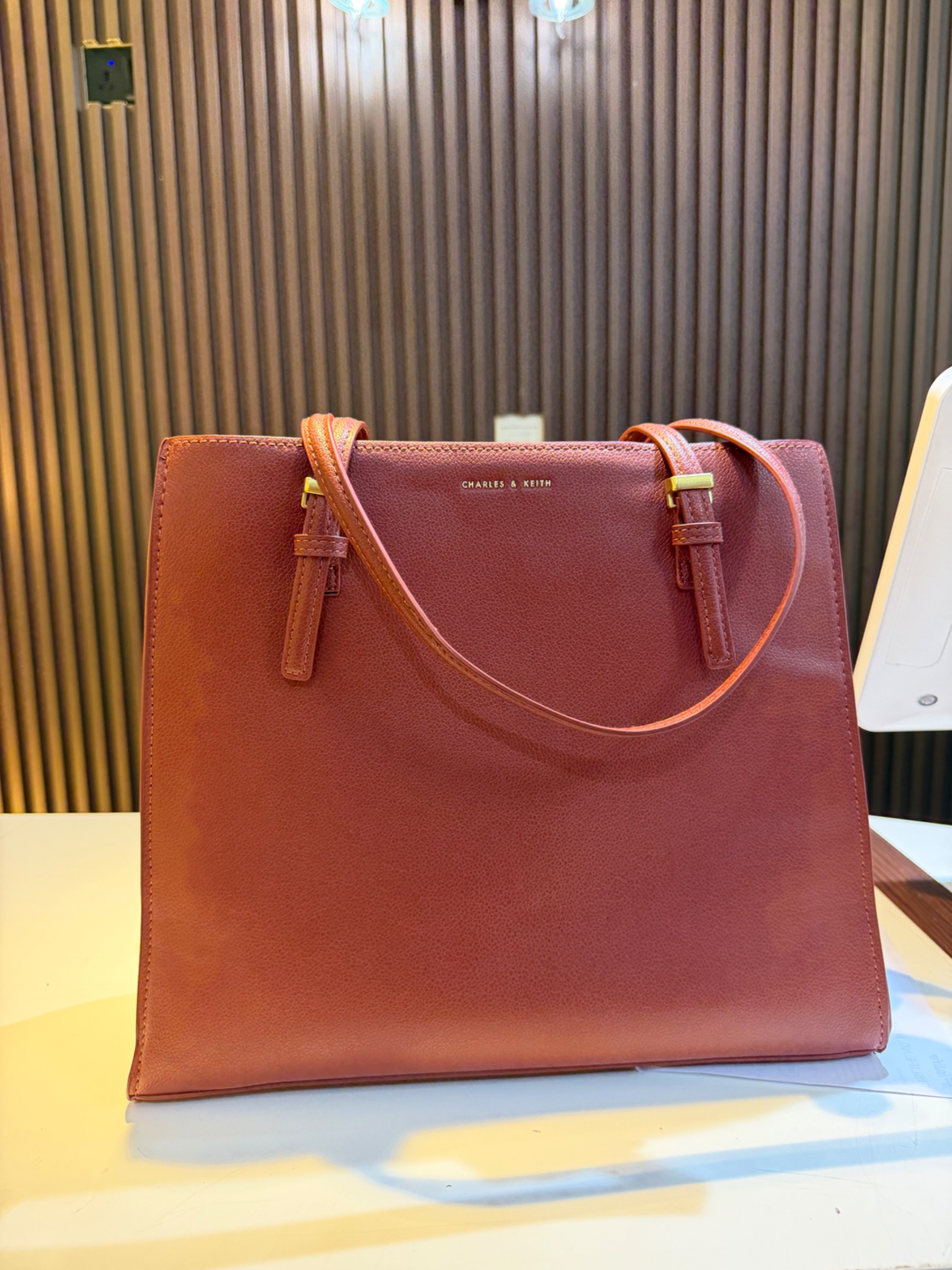 Charles & Keith bag by JANASH